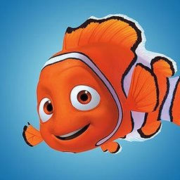 Losing NEMO