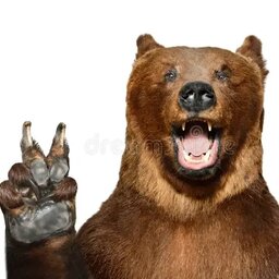 URSO da tropa do urso