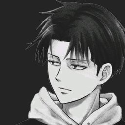LEVI=D