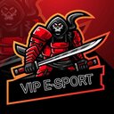 VIP ESPORTS