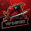 VIP ESPORTS