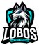 Lobos Black (was deleted at: 2025-02-27T22:12:09.4511705Z)