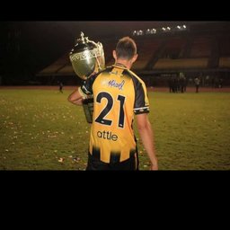 Steimander Ochoa Ramirez