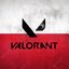 VALORANT_PL