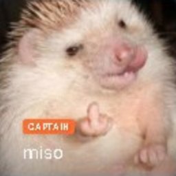 misomiso