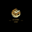espNoxy¹