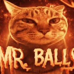 MR. BALLS