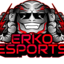 ERKO Esports