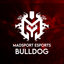 BullDog!