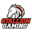 Stallion Gaming