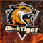 BlackTiger (was deleted at: 2020-02-01T23:29:20.8002854Z)