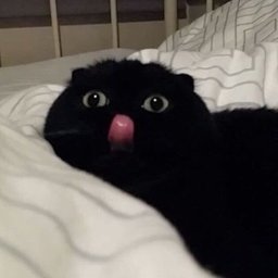 zDjk1e