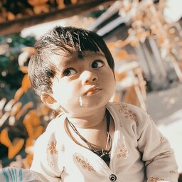 Najmin 11