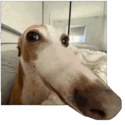 FUURYcs