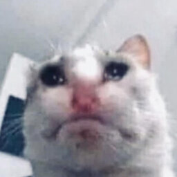 sik0mood