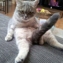 Who's your dady now?