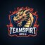SpirtTeam