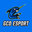 GCO Esport