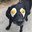 EGFoxX