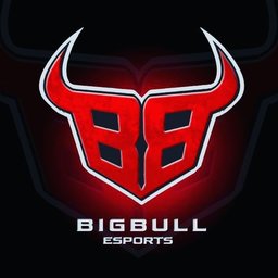 BIGBULL eSPORTS