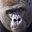 Gorilla Esports