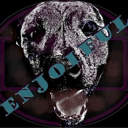 Enjoiful#