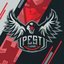 PEST E-SPORT (was deleted at: 2018-10-31T14:12:16.0515779Z)