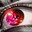 Nesel