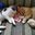 Ronalds 23105