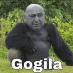 Gogila#