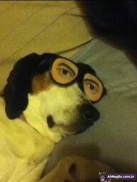 Penter do Einerd#1600