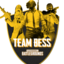 Team BeSS