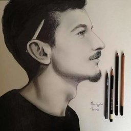 VullnetBucolli