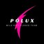 Polux Team (was deleted at: 2022-01-17T19:51:55.4279450Z)