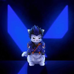 Xuanchax