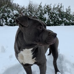 Vlad20000