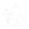 .Rx