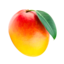 Full de Mango