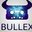Bullex team