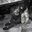 CherryLoveYou