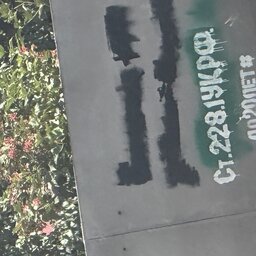 pwingi