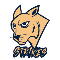 Str1kes