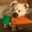 HarkyNTC