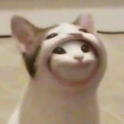 Goodkatt