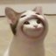 Goodkatt