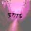Sfits
