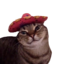 Poco Loco