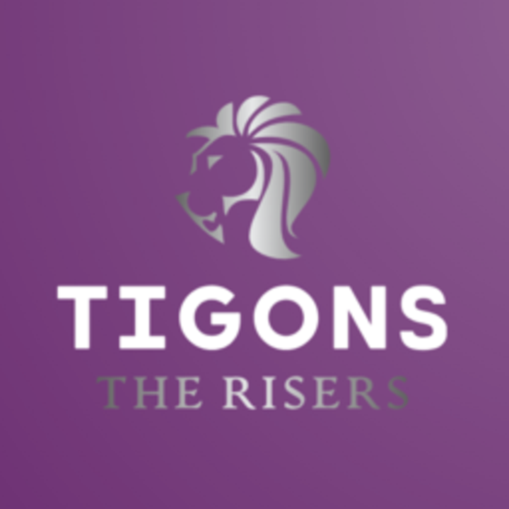Join the Team TIGONS on Challengermode!