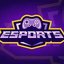 Talent Esports
