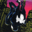 spidermonster